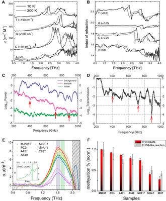 Applications of Terahertz Spectroscopy in the Detection and Recognition of Substances